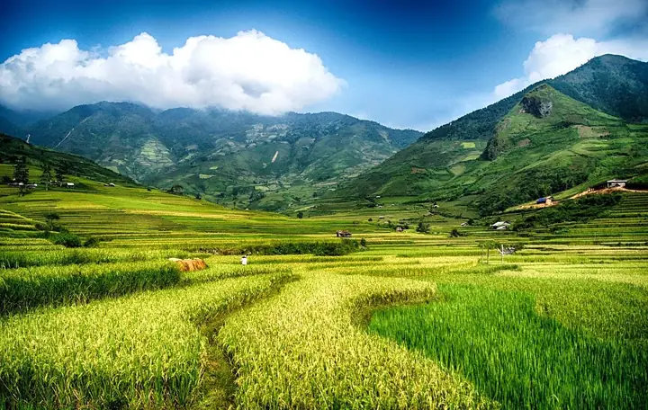 Khám Phá 10 Điểm Du Lịch Tuyệt Vời Ở Mù Cang Chải Khám Phá 10 Điểm Du Lịch Tuyệt Vời Ở Mù Cang Chải