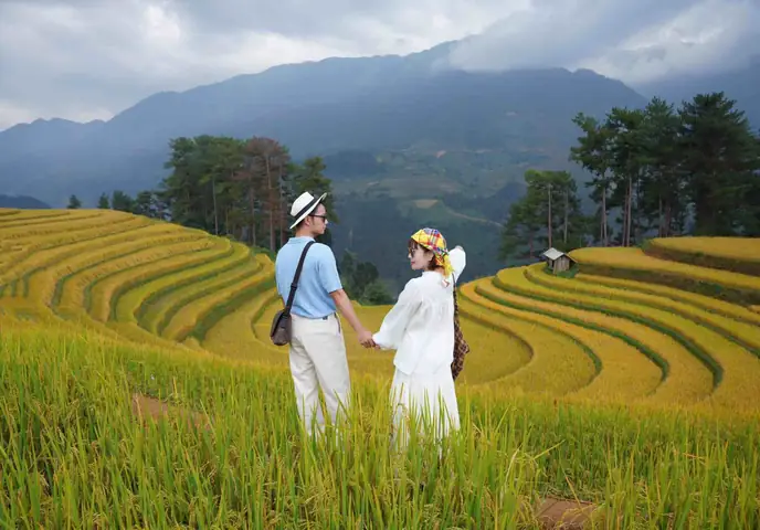 Khám Phá Mù Cang Chải Mùa Lúa Chín: Hướng Dẫn Du Lịch