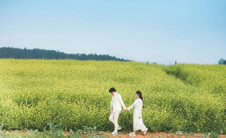 Mùa Hoa Cải Vàng Đà Lạt: Hành Trình Đón Mùa Vàng Tuyệt Đẹp Nhất Năm