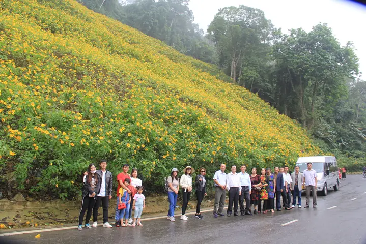 Mùa Hoa Dã Quỳ Ba Vì: Thời Gian, Kinh Nghiệm Săn Ảnh Mùa Hoa Dã Quỳ Ba Vì: Thời Gian, Kinh Nghiệm Săn Ảnh