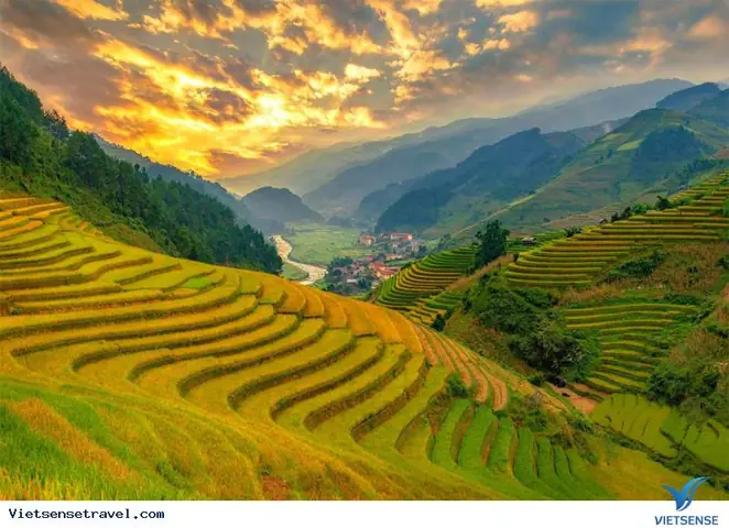 Mùa Lúa Chín Ở Sapa Vào Tháng Mấy? Thời Điểm Vàng Để Trải Nghiệm