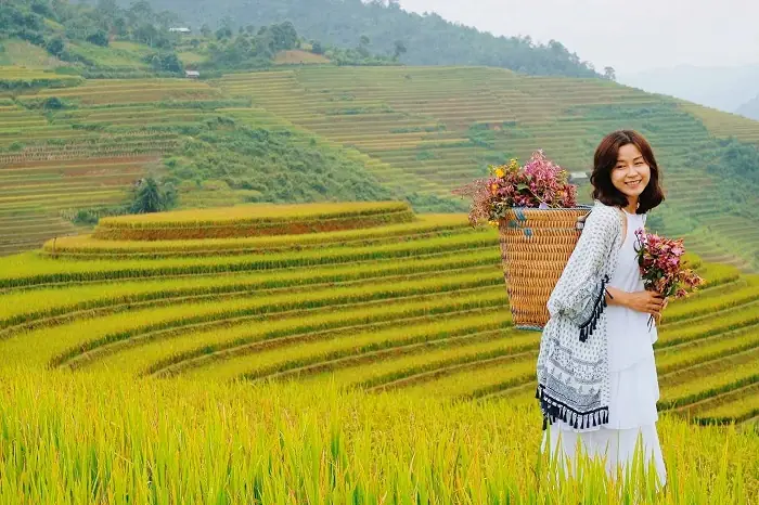 Mùa Lúa Chín Ở Sapa Vào Tháng Mấy? Thời Điểm Vàng Để Trải Nghiệm