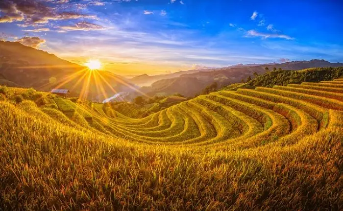 Mùa Lúa Chín Ở Sapa Vào Tháng Mấy? Thời Điểm Vàng Để Trải Nghiệm