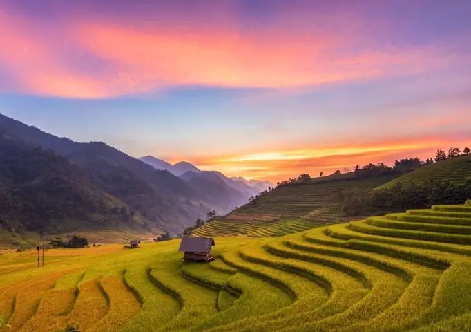 Mùa Lúa Chín Ở Sapa Vào Tháng Mấy? Thời Điểm Vàng Để Trải Nghiệm
