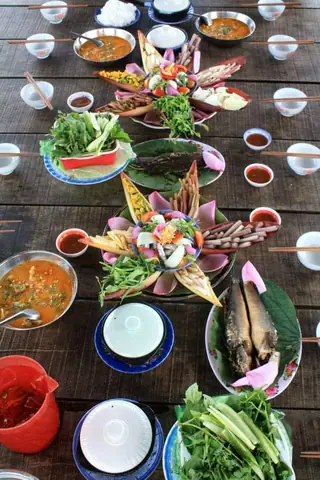 Khám Phá Đồng Sen Tháp Mười Mùa Nở – Hướng Dẫn Du Lịch Chi Tiết