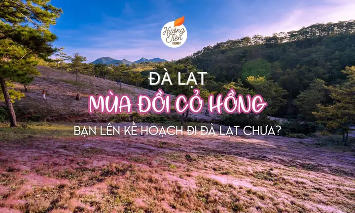 Cẩm Nang Trải Nghiệm Mùa Thu Đà Lạt: Khám Phá Vẻ Đẹp "sương Giăng Mắc Mướp" Cẩm Nang Trải Nghiệm Mùa Thu Đà Lạt: Khám Phá Vẻ Đẹp "sương Giăng Mắc Mướp"