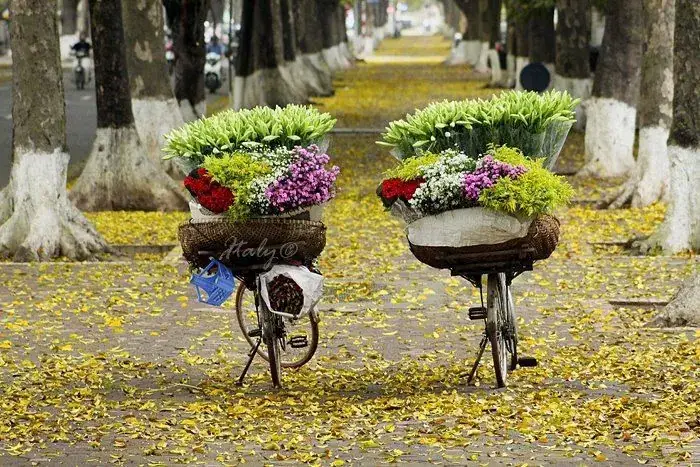 Mùa Thu Hà Nội: Cẩm Nang Toàn Tập Thời Tiết, Hoạt Động Và Mẹo Du Lịch Từ A-z Mùa Thu Hà Nội: Cẩm Nang Toàn Tập Thời Tiết, Hoạt Động Và Mẹo Du Lịch Từ A-z