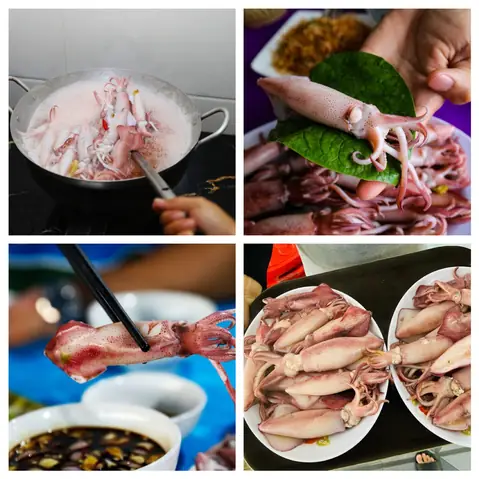Mực Nhảy Vũng Áng Hà Tĩnh – Đặc Sản Biển Miền Trung Đáng Khám Phá