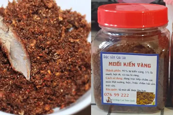 Muối Kiến Vàng Bán Ở Đâu? Đánh Giá Chi Tiết 7 Địa Chỉ Uy Tín Nhất Việt Nam