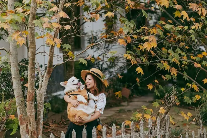Bạn Muốn Tìm Ngôi Nhà Lá Phong Đà Lạt Nào Uy Tín Nhất?
