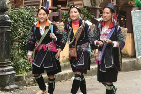 Khám Phá Người Hmong Việt Nam: Văn Hoá, Sinh Hoạt Và Phân Bố Khám Phá Người Hmong Việt Nam: Văn Hoá, Sinh Hoạt Và Phân Bố