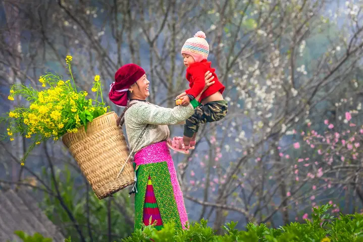Khám Phá Người Hmong Việt Nam: Văn Hoá, Sinh Hoạt Và Phân Bố Khám Phá Người Hmong Việt Nam: Văn Hoá, Sinh Hoạt Và Phân Bố