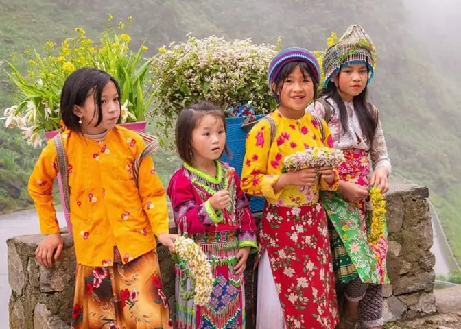 Khám Phá Người Hmong Việt Nam: Văn Hoá, Sinh Hoạt Và Phân Bố