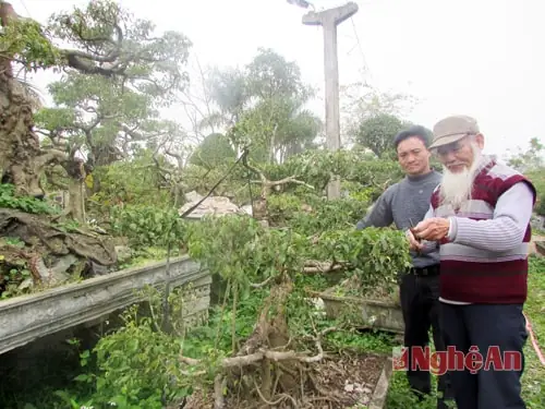 Tích Bác Hồ Ở Nghệ An: Hành Trình Theo Dấu Chân Người