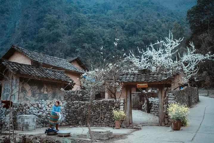 Khám Phá Nhà Của Pao – Điểm Du Lịch Văn Hoá Hà Giang