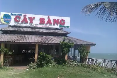 Nhà Hàng Cây Bàng Mũi Né – Hướng Dẫn Chi Tiết Về Địa Điểm Ăn Uống Tuyệt Vời Tại Bãi Biển Mũi Né