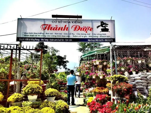 Khám Phá Nhà Hàng Cây Cảnh Nha Trang: Thực Đơn, Giá & Đặt Bàn Khám Phá Nhà Hàng Cây Cảnh Nha Trang: Thực Đơn, Giá & Đặt Bàn