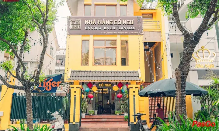 Khám Phá Nhà Hàng Cổ Ngư Hà Đông: Thực Đơn, Không Gian & Ưu Đãi