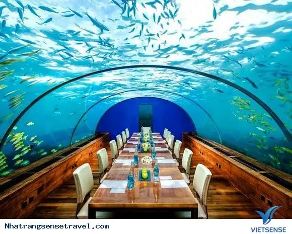 Khám Phá Nhà Hàng Cánh Buồm Đại Dương – Hải Sản Sang Trọng Tại Nha Trang
