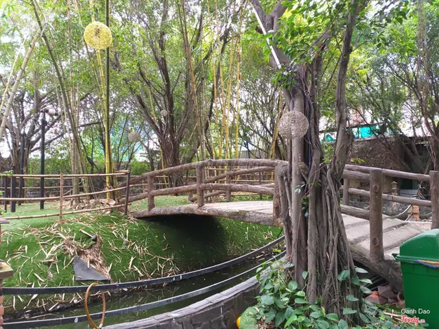 Đánh Giá Chi Tiết Nhà Hàng Dìn Ký Bình Dương: Trải Nghiệm Ẩm Thực Đa Dạng Trong Không Gian Xanh Đánh Giá Chi Tiết Nhà Hàng Dìn Ký Bình Dương: Trải Nghiệm Ẩm Thực Đa Dạng Trong Không Gian Xanh