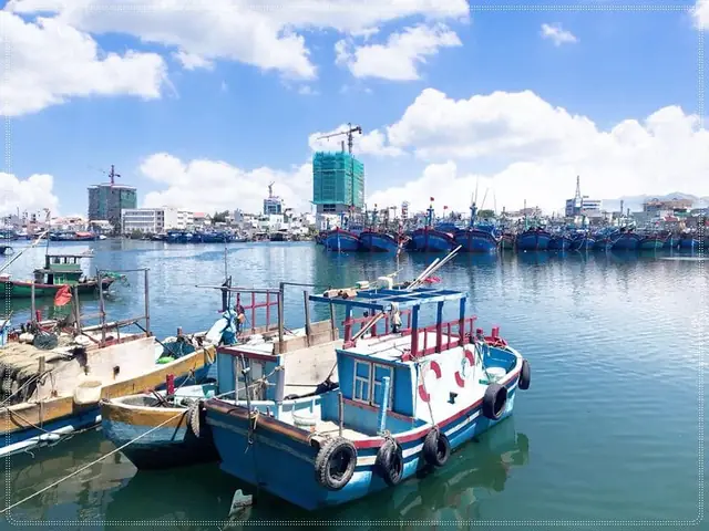 Đánh Giá Nhà Hàng Hải Sản Hoa Hoa Quy Nhơn: Ngon, Giá Hợp Lý Đánh Giá Nhà Hàng Hải Sản Hoa Hoa Quy Nhơn: Ngon, Giá Hợp Lý