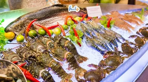 Khám Phá 12 Nhà Hàng Hải Sản Thủ Đức Ngon, Giá Hợp Lý Khám Phá 12 Nhà Hàng Hải Sản Thủ Đức Ngon, Giá Hợp Lý