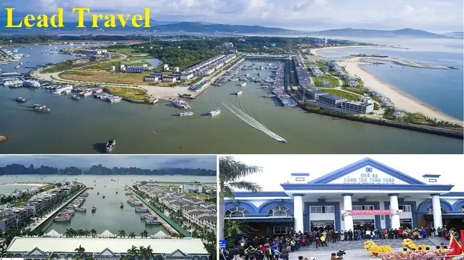 Review Chi Tiết Nhà Hàng Hồng Hạnh 2: Điểm Đến Hải Sản Uy Tín Ở Hòn Gai, Hạ Long