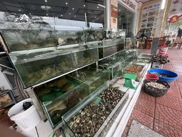 Khám Phá Nhà Hàng Làng Chài Cát Bà – Hải Sản Tươi Ngon