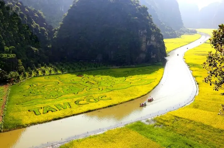 Khám Phá Nhà Hàng Lúa Vàng Ninh Bình: Ẩm Thực Địa Phương