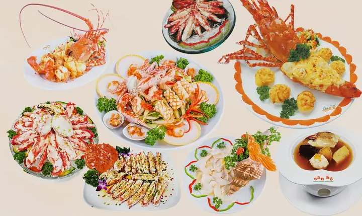 Đặt Chỗ & Khám Phá Thực Đơn Nhà Hàng Hải Sản San Hô Sang Trọng Đặt Chỗ & Khám Phá Thực Đơn Nhà Hàng Hải Sản San Hô Sang Trọng