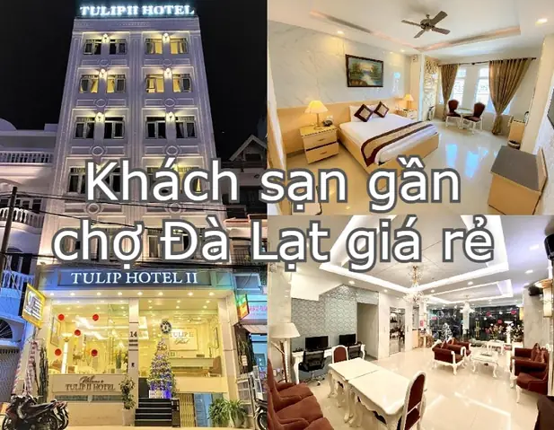 Top 12 Khách Sạn Gần Chợ Đêm Đà Lạt: Giá Tốt, Tiện Nghi, Vị Trí Ưu Tiên Top 12 Khách Sạn Gần Chợ Đêm Đà Lạt: Giá Tốt, Tiện Nghi, Vị Trí Ưu Tiên
