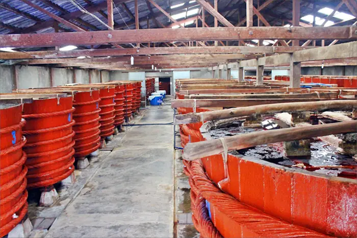 Khám Phá Nhà Thùng Nước Mắm Phú Quốc Nổi Tiếng Khám Phá Nhà Thùng Nước Mắm Phú Quốc Nổi Tiếng