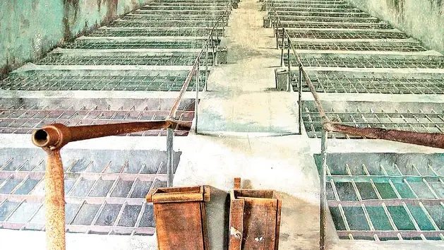 Nhà Tù Côn Đảo Chuồng Cọp: Lịch Sử, Chức Năng Và Hiện Trạng Nhà Tù Côn Đảo Chuồng Cọp: Lịch Sử, Chức Năng Và Hiện Trạng