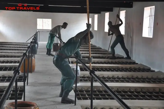 Nhà Tù Côn Đảo: Hành Trình Tâm Linh Về Nơi Ghi Dấu Lịch Sử Dân Tộc
