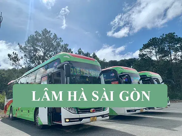 Đánh Giá Nhà Xe Điền Linh: Giá Vé, Lịch Trình, Tiện Nghi