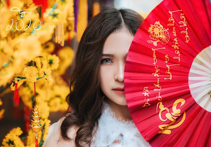 Review Nhà Xe Điền Linh Tân Bình: Đánh Giá Chi Tiết Từ Khách Hành Khách