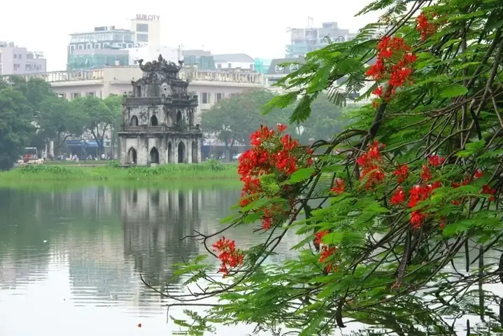 Review Nhà Xe Phương Trang Phan Rang: Đánh Giá Chi Tiết Từ Chất Lượng Xe Đến Trải Nghiệm Hành Khách