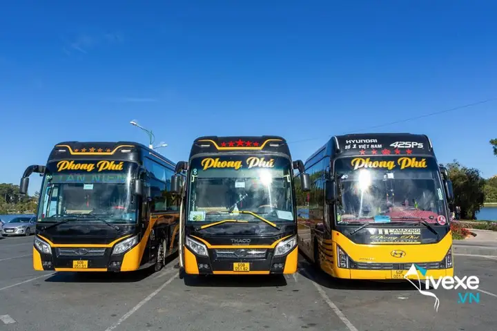 Đánh Giá Chi Tiết Nhà Xe Phương Trang Sài Gòn: Tuyến Đi Các Tỉnh, Giá Vé, Lịch Chạy Mới Nhất
