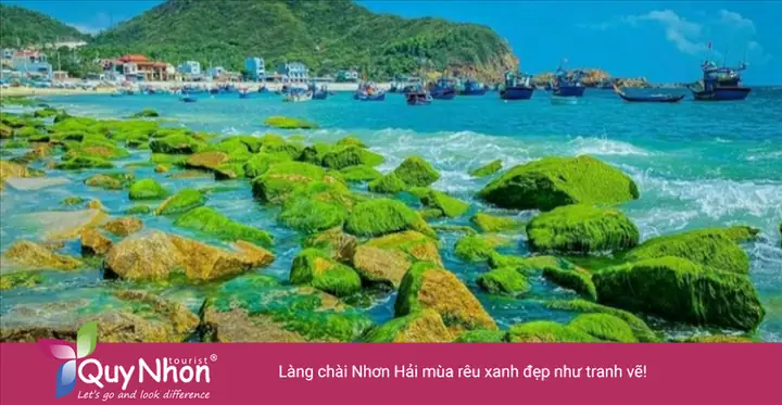 Khám Phá Làng Chài Nhơn Hải: Hướng Dẫn Du Lịch Chi Tiết Khám Phá Làng Chài Nhơn Hải: Hướng Dẫn Du Lịch Chi Tiết