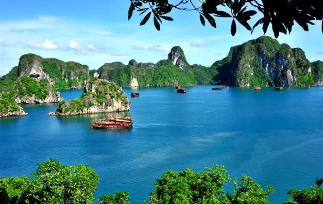 Những Di Sản Văn Hóa Của Việt Nam: Tổng Quan Và Giá Trị
