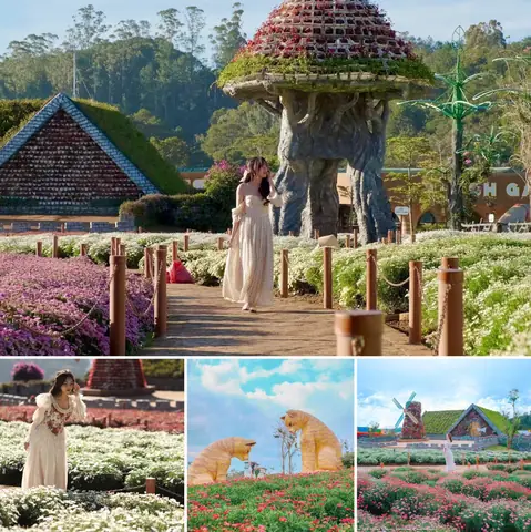 Khám Phá 12 Địa Điểm Du Lịch Đà Lạt Cho Mọi Du Khách