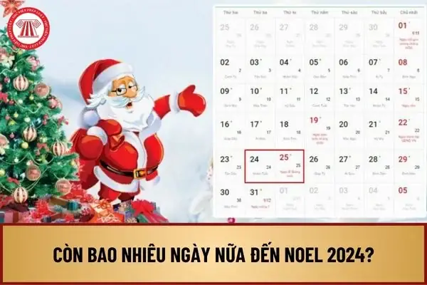 Xác Định Ngày Giáng Sinh: 25/12 Và Sự Khác Biệt Với Đêm Noel Xác Định Ngày Giáng Sinh: 25/12 Và Sự Khác Biệt Với Đêm Noel