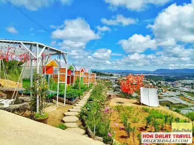 Khám Phá Sunny Farm Đà Lạt: Hướng Dẫn Chi Tiết Cho Du Khách Khám Phá Sunny Farm Đà Lạt: Hướng Dẫn Chi Tiết Cho Du Khách