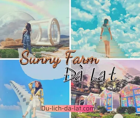 Khám Phá Sunny Farm Đà Lạt: Hướng Dẫn Chi Tiết Cho Du Khách Khám Phá Sunny Farm Đà Lạt: Hướng Dẫn Chi Tiết Cho Du Khách