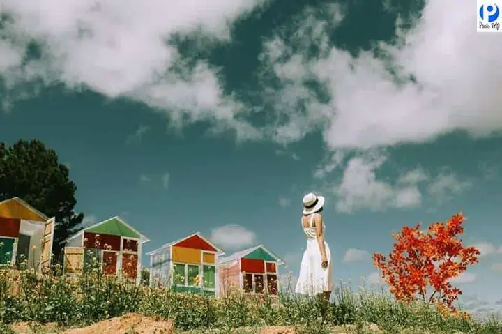 Khám Phá Sunny Farm Đà Lạt: Hướng Dẫn Chi Tiết Cho Du Khách Khám Phá Sunny Farm Đà Lạt: Hướng Dẫn Chi Tiết Cho Du Khách