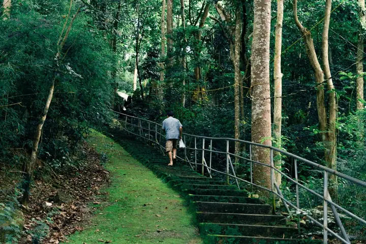 Cẩm Nang Khám Phá Núi Dinh Bà Rịa Vũng Tàu Toàn Tập