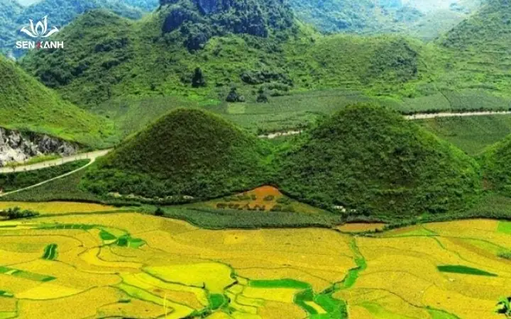 Khám Phá Núi Đôi Cô Tiên – Trải Nghiệm Thiên Nhiên Hùng Vĩ Khám Phá Núi Đôi Cô Tiên – Trải Nghiệm Thiên Nhiên Hùng Vĩ