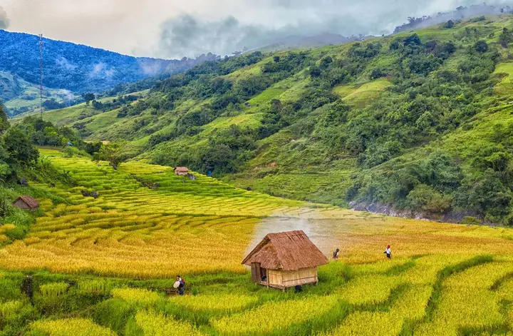 Khám Phá Núi Ngọc Linh – Đỉnh Núi Hùng Vĩ Của Miền Trung