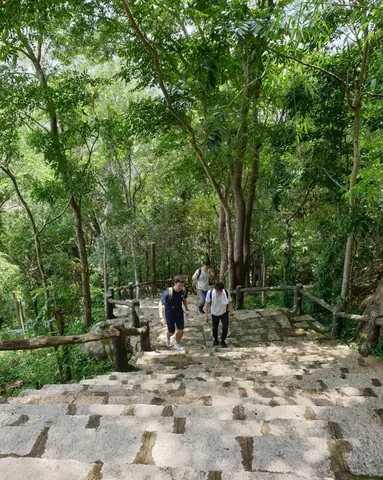 Cẩm Nang Núi Thị Vải Vũng Tàu: Hành Trình Trekking Và Khám Phá Chùa Chiền Toàn Diện