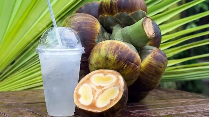 Cách Lấy Nước Thốt Nốt: Hướng Dẫn Chi Tiết Cho Người Mới